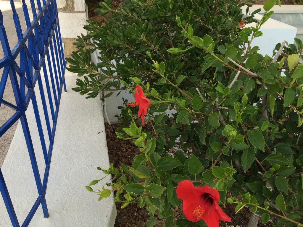 Sea Breeze Apartments Chios Monolia Exterior foto
