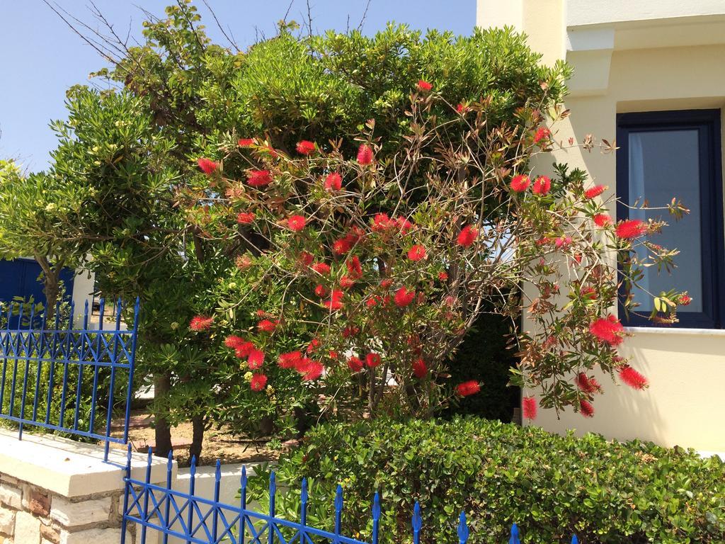 Sea Breeze Apartments Chios Monolia Exterior foto